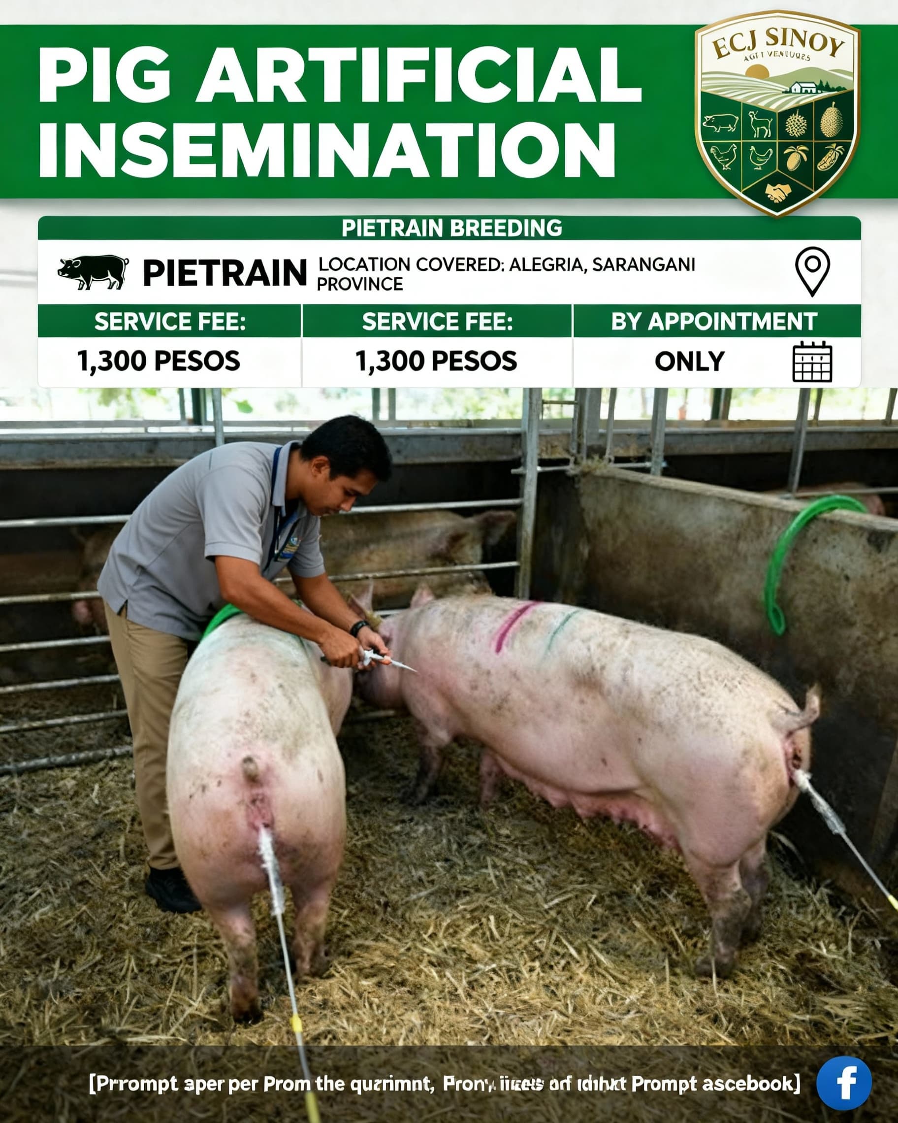 Why Pig Artificial Insemination Is the Future for Small Farms